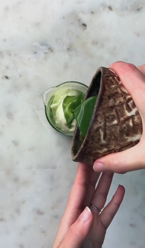 Traditional Matcha Affogato – Zen Tea Leaf