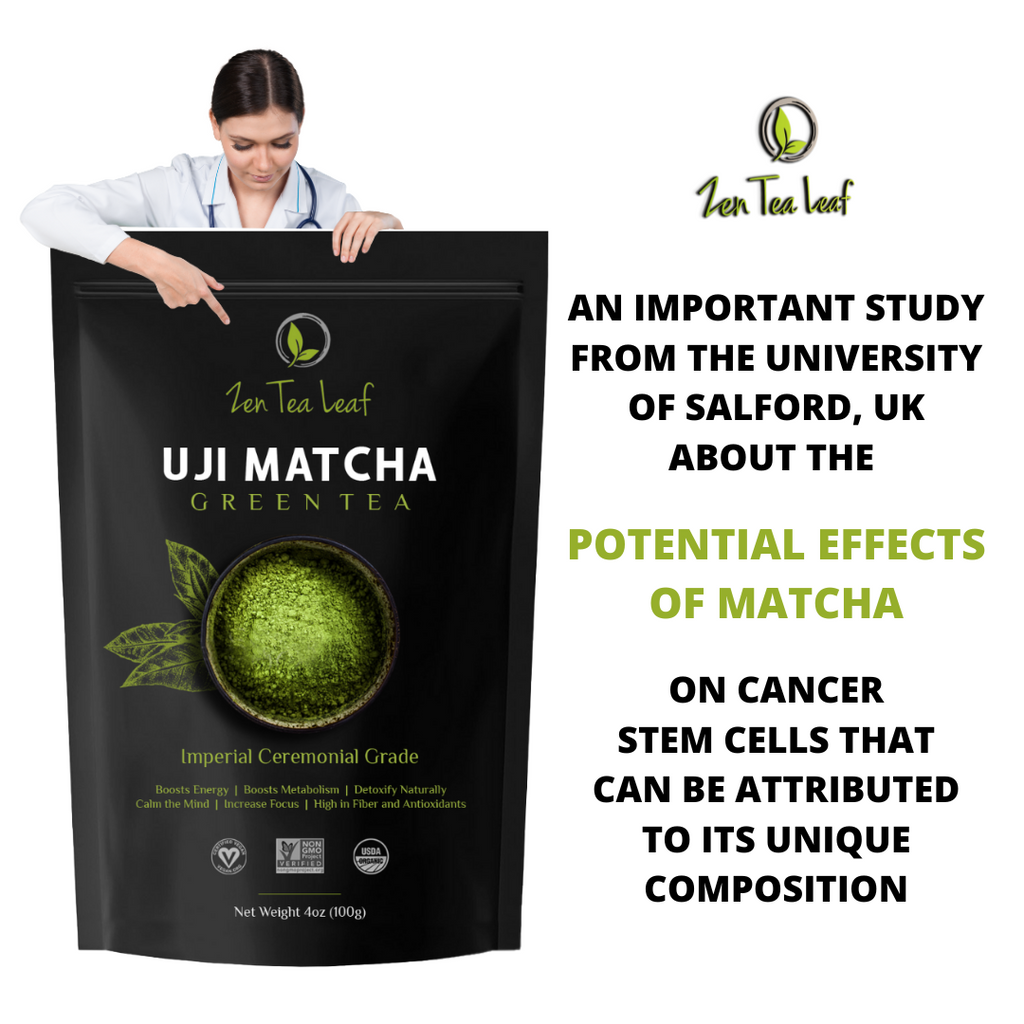 Matcha and Cancer Stem Cells : An Important Study from the University of Salford, UK